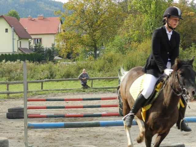 Babie Lato 2016